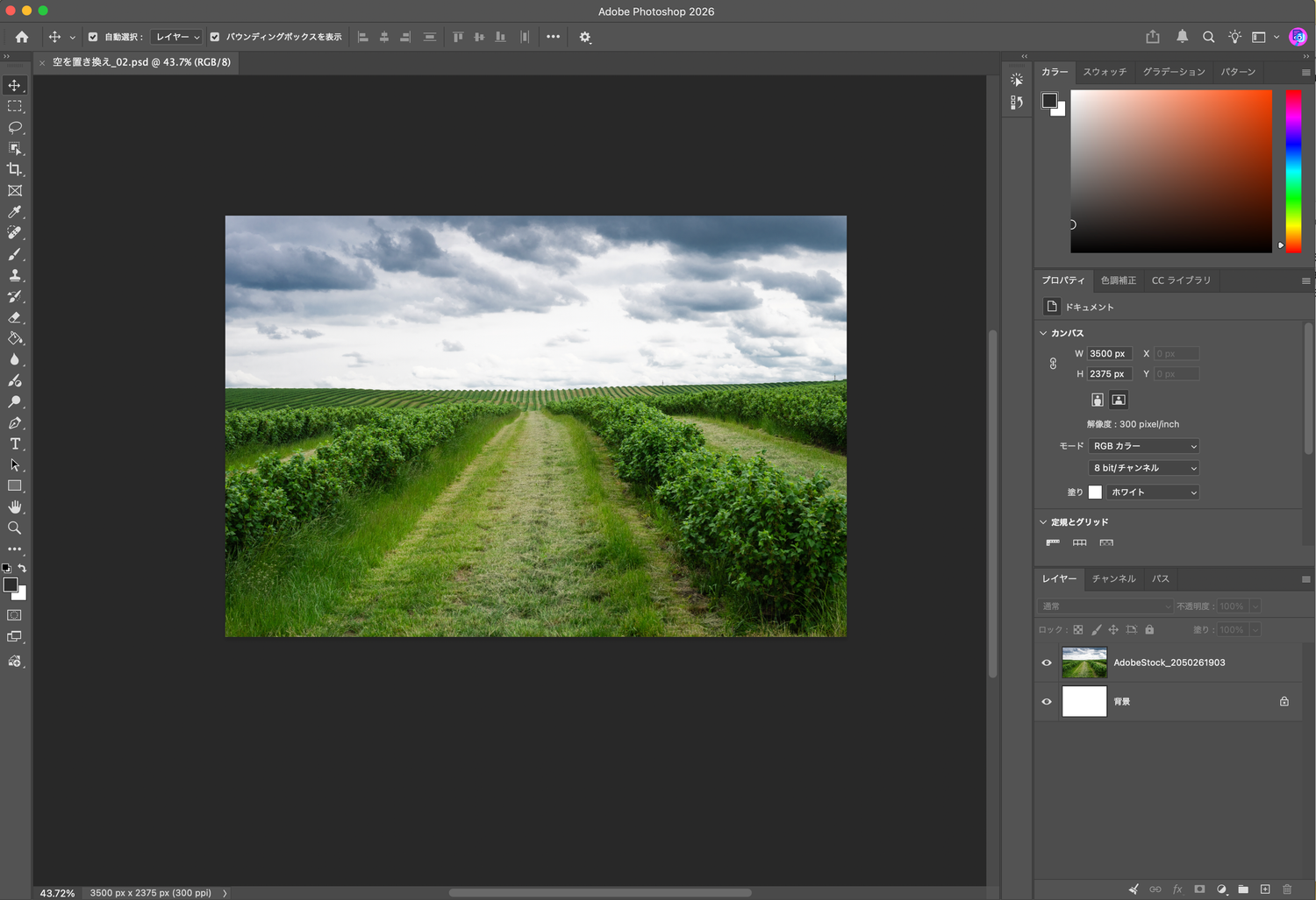 畑と曇り空の写真をPhotoshopで開いた画面
