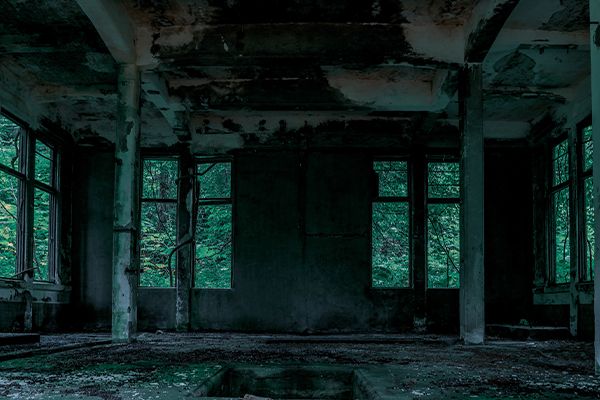 作例「伝播」の素材写真B