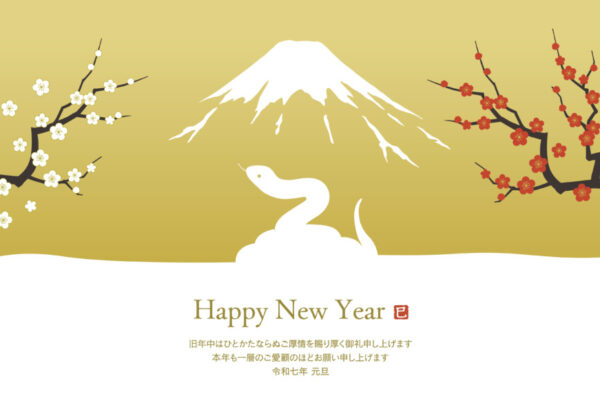 新年