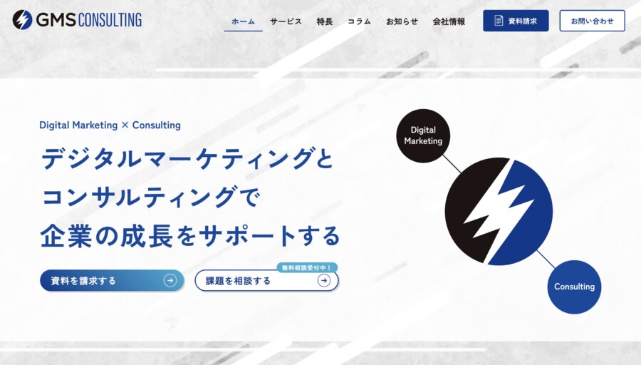 GMSコンサルティング2