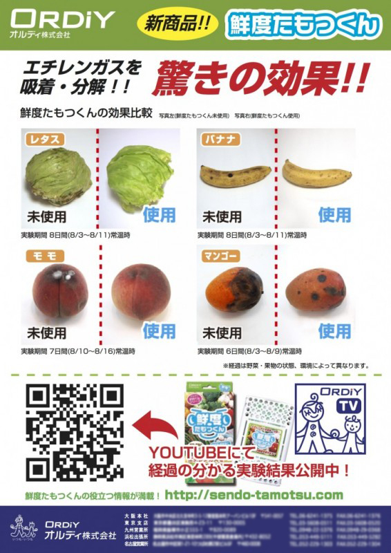 比較が分かりやすいチラシデザイン