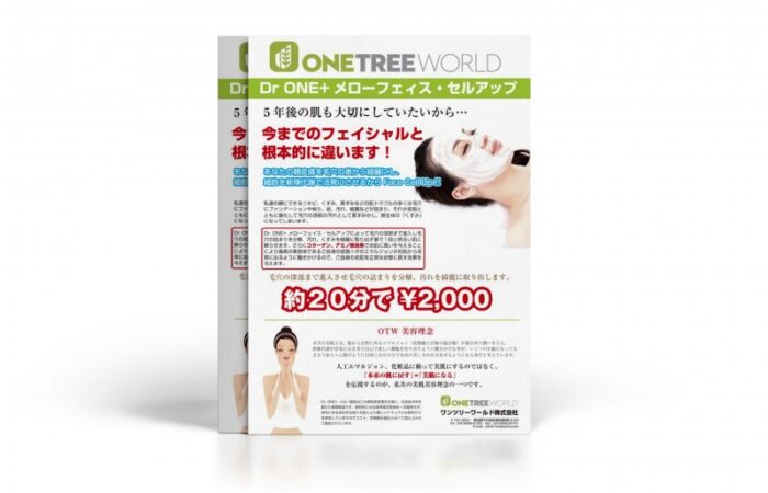 チラシ制作事例 – 価格の安さを明確に伝えるフェイシャルサロンのチラシデザイン