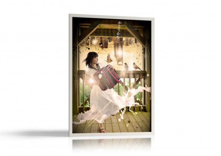 ミュージシャンのアートワーク