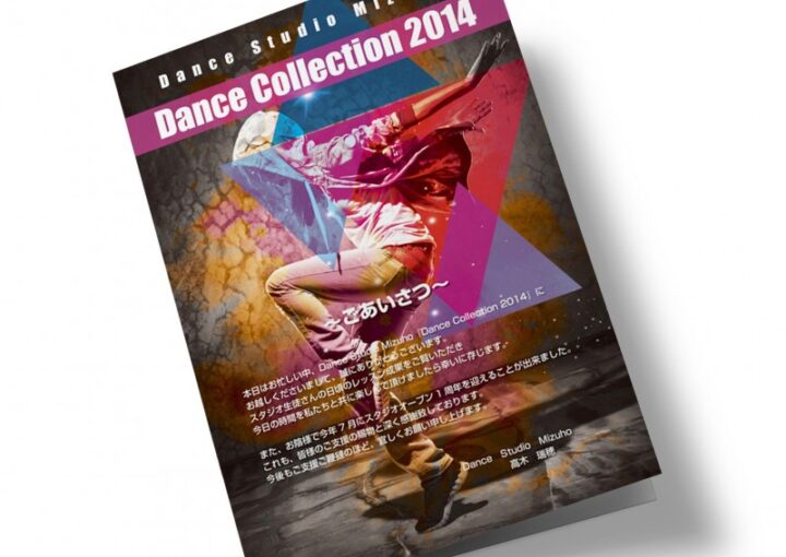 DC2014_パンフレットデザイン1