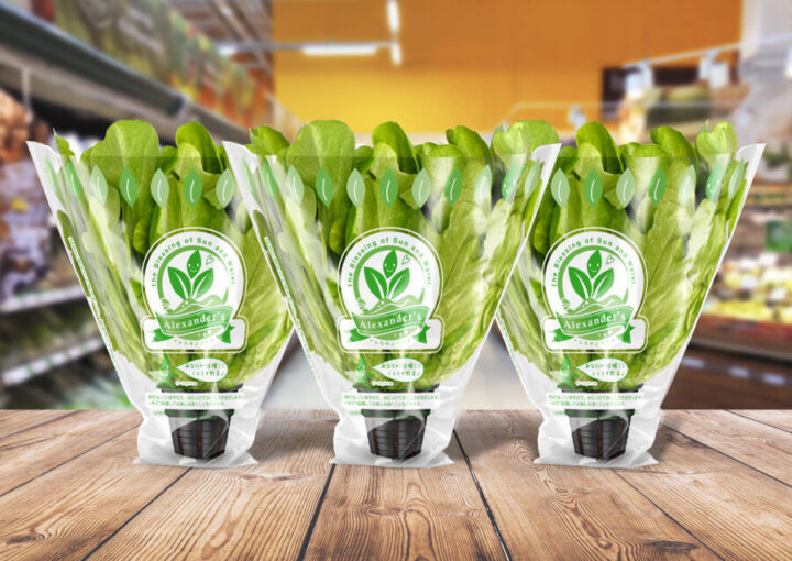 野菜ブランドのフィルムパッケージデザイン作成例1