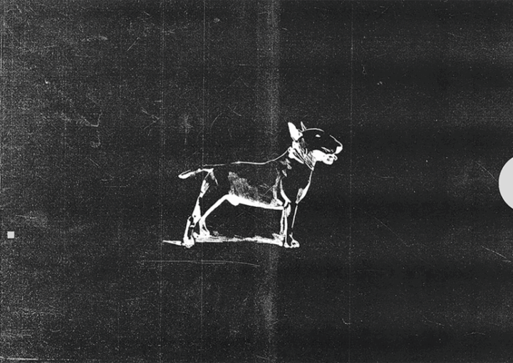 クリエイティブスタジオの手がけるロゴデザイン