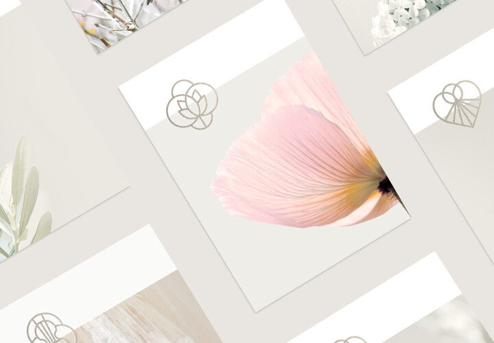 透き通るような美しさをもつ洗練されたロゴ