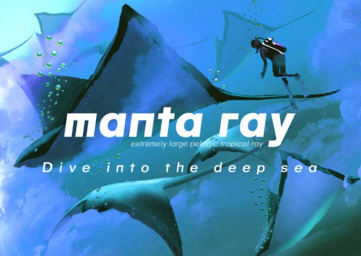 フリーフォント「MANTA RAY」