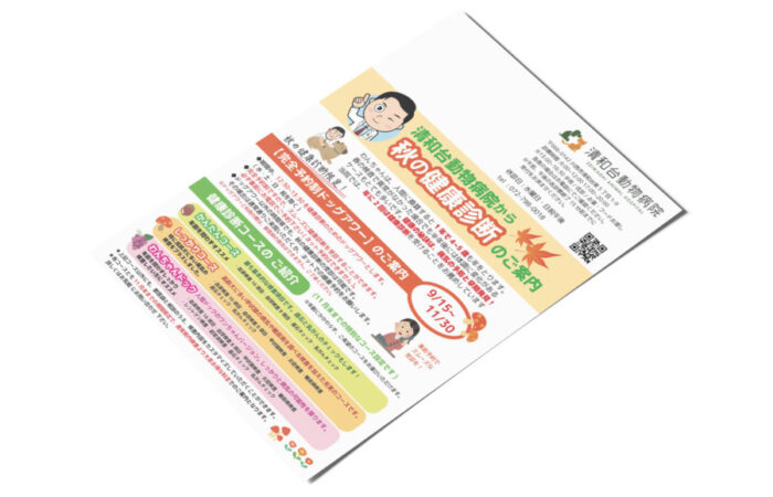 DM制作事例 – 動物病院の秋の健康診断案内DMハガキデザイン