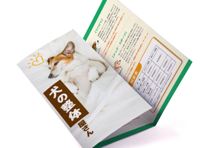 ペット整体の三つ折パンフレットデザイン