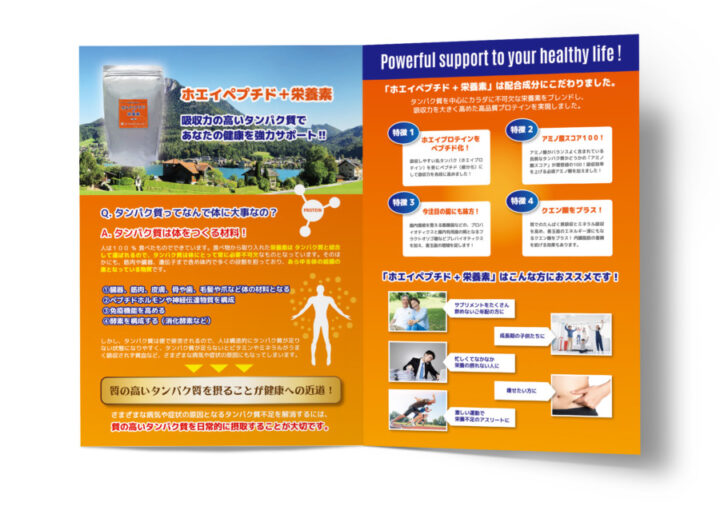 プロテインの商品紹介二つ折りパンフレット_A3サイズ