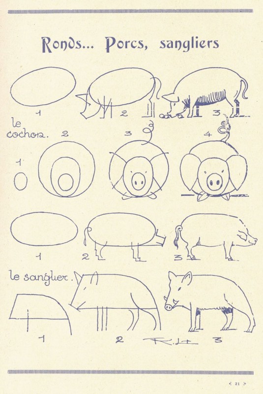 豚の描き方