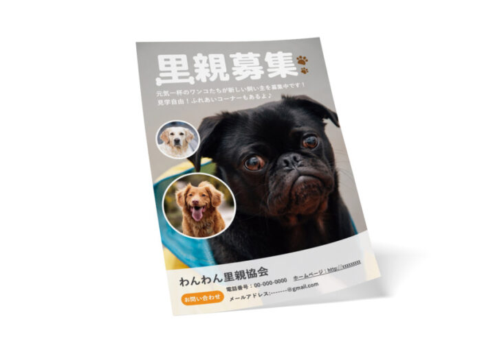ペットの里親募集の無料チラシテンプレート(犬)_A4