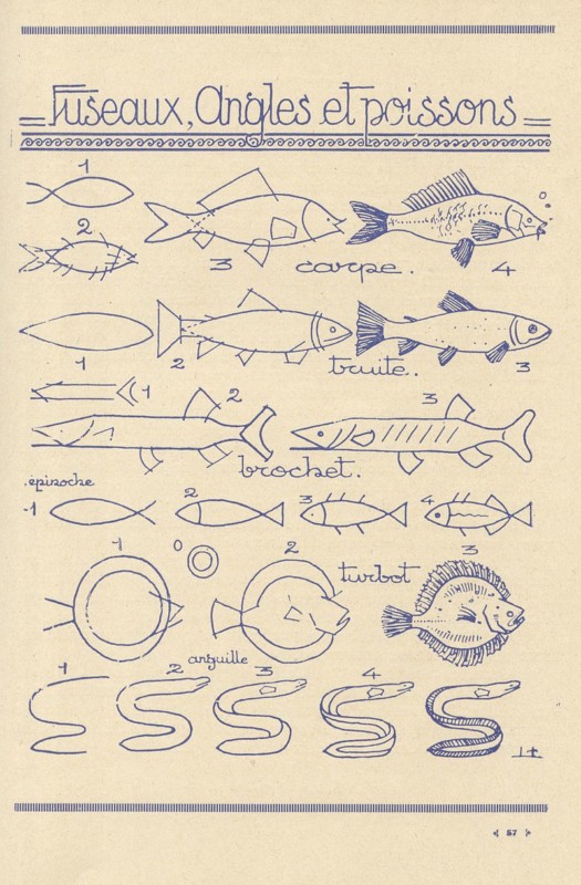 魚の描き方