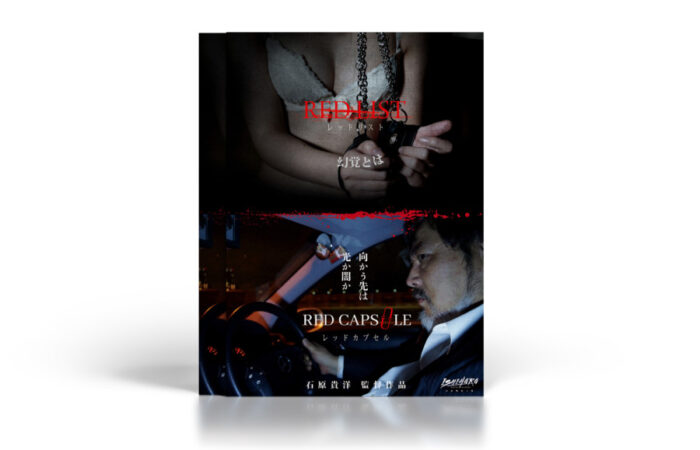 フライヤー制作事例 – 映画の紹介フライヤーデザイン