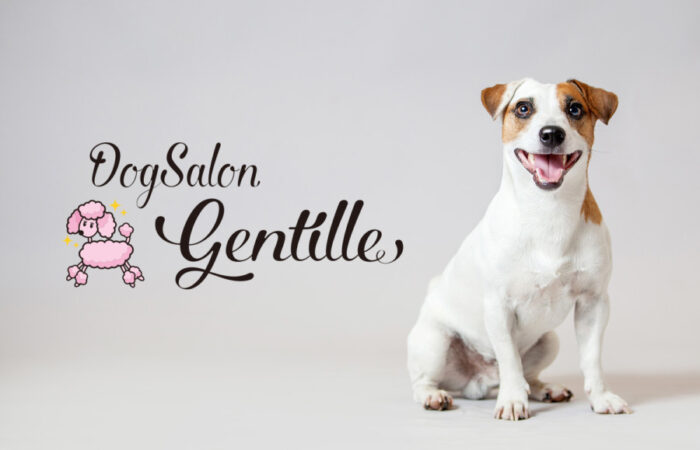 ロゴ制作事例 - ドッグサロンのキュートなロゴデザイン