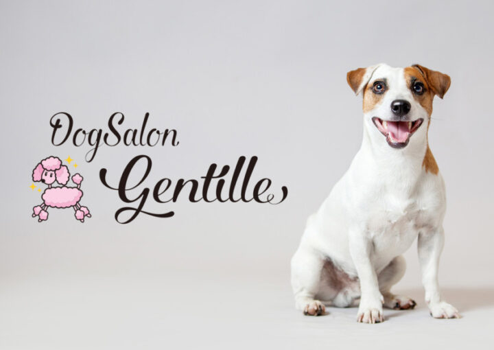 ドッグサロンのロゴデザイン