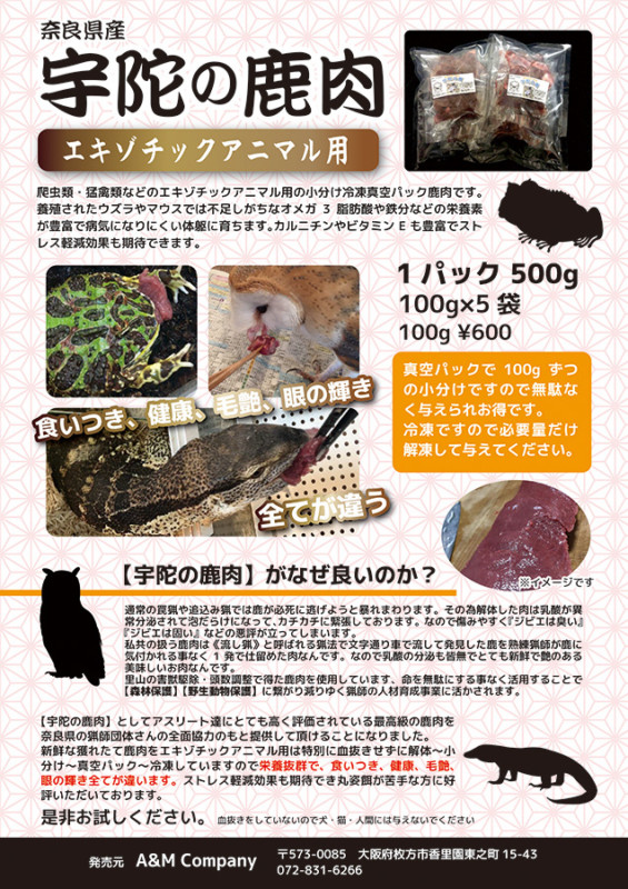 爬虫類・猛禽類向けの餌の販売チラシ_A4サイズ