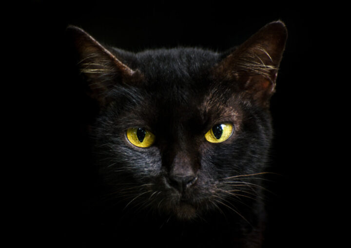 ヤマトグループが新マークでブランドをリニューアル