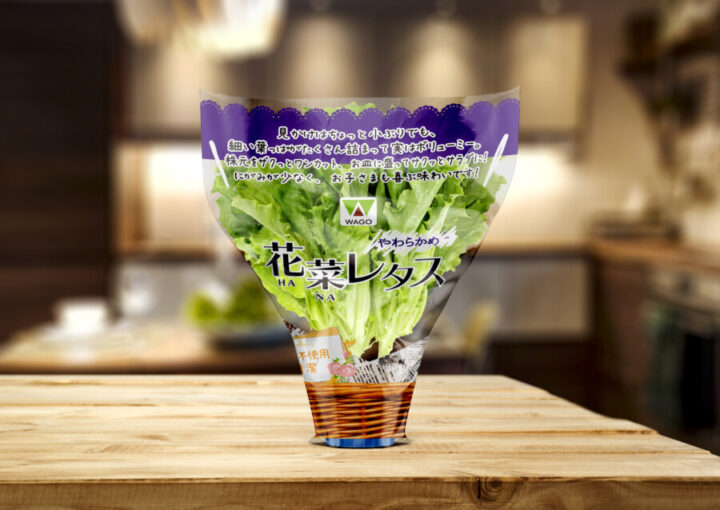 レタスの商品パッケージデザイン_背景あり
