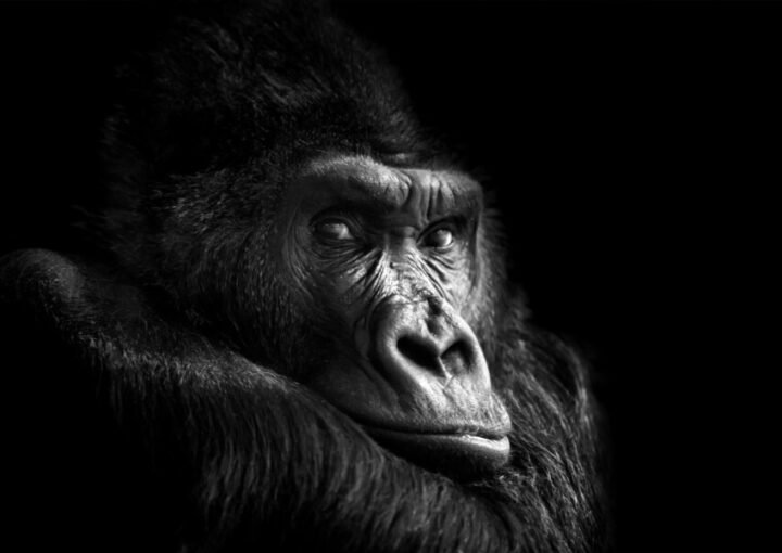 簡単ペイの大人気プロモーション動画について