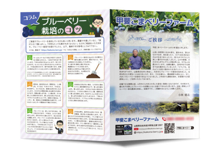 ブルーベリー農園のパンフレット作例_表