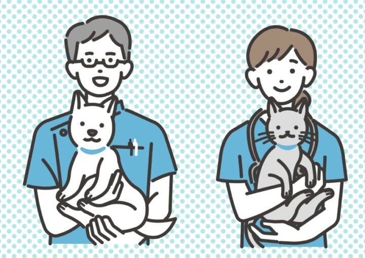 犬や猫を抱っこする動物病院で働く獣医