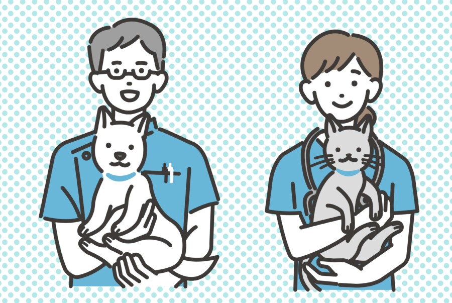 犬や猫を抱っこする動物病院で働く獣医