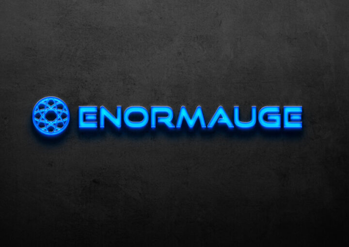 データセキュリティ企業のロゴ作例_4