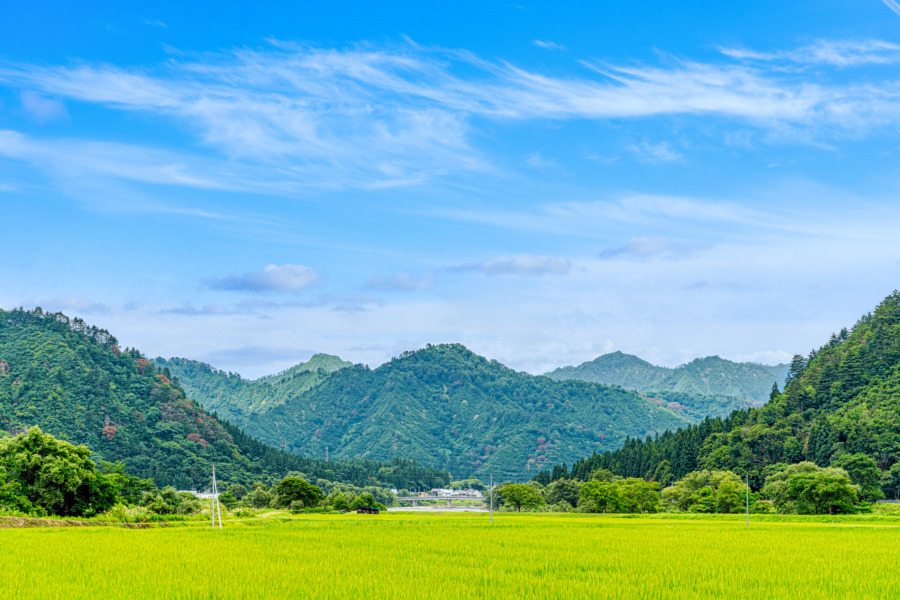 里山