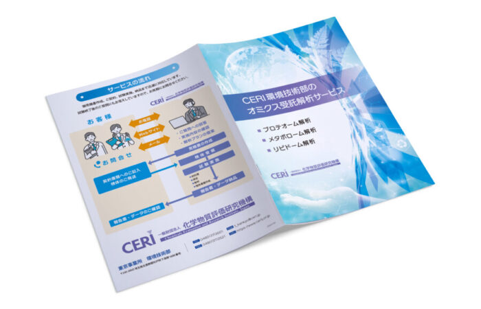 パンフレット制作事例 – 一般社団法人の受託サービス案内パンフレットのデザイン