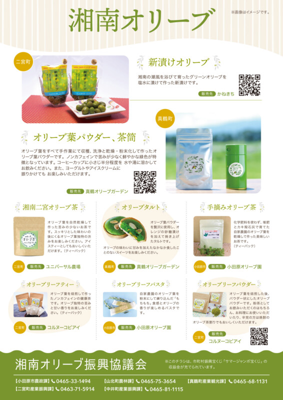 オリーブ商品のPRチラシデザイン_ura
