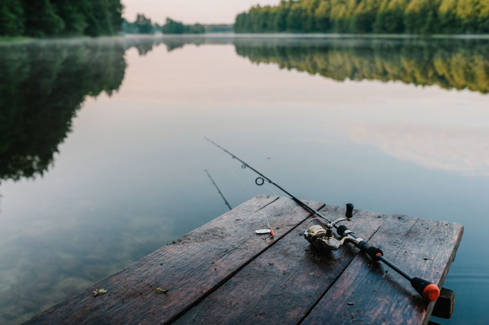 逆FISHING