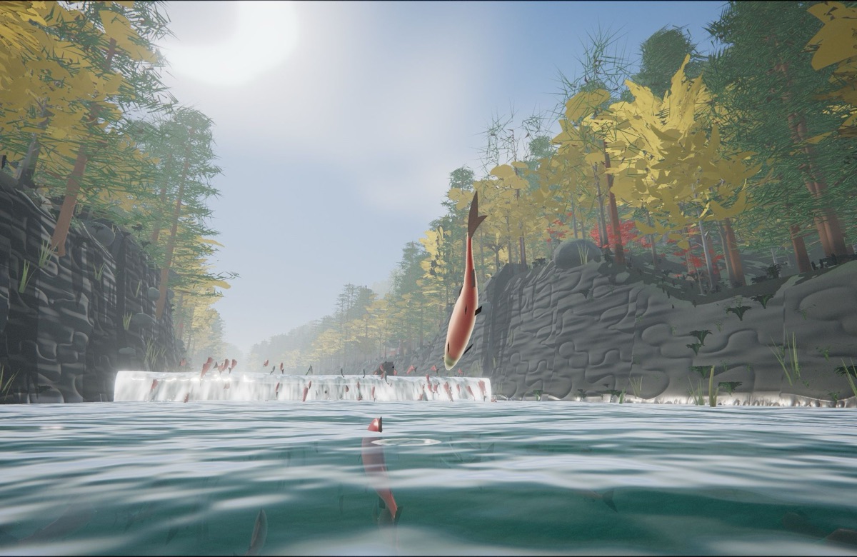 遡上 Salmon Ascent。黄葉の森に挟まれた川で、サケが滝の手前を跳ねる
