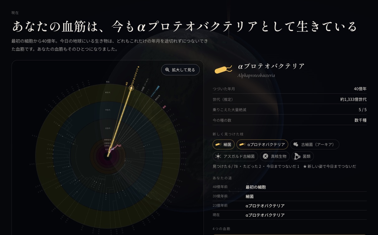 結果画面。あなたの血筋は今もαプロテオバクテリアとして生きている、と表示されている