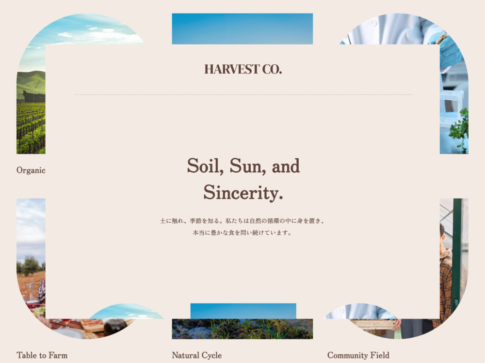Harvest_image