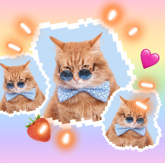 ガビコラ